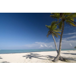 Beautiful beaches and stunning waterfalls in Punta Cana & Samaná 2022